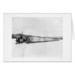 Caterpillar Yukon Freight 1924 cards
