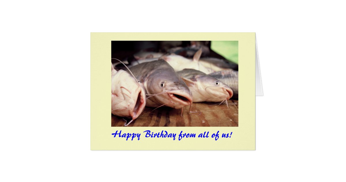 Catfish Birthday Card Zazzle