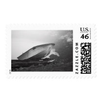 Catfish Blues postage