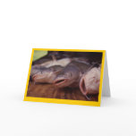 "Catfish" cards