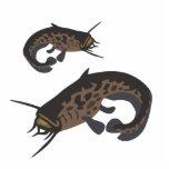 Catfish Photo Cut Out