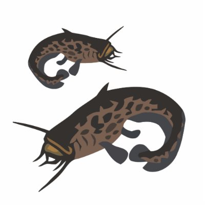 Largest+mekong+giant+catfish