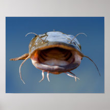 Catfish Poster