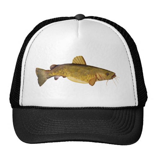 Catfish side hats