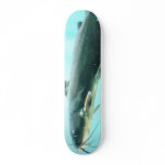 Catfish Skateboard