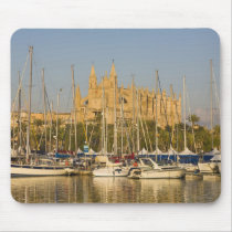 Cathedral and marina, Palma, Mallorca, Spain 2