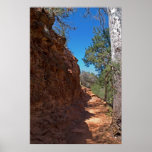 Cathedral Rock Trail 3952 Poster