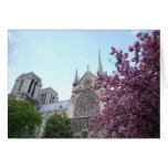 Cathédrale Notre Dame de Paris Cards