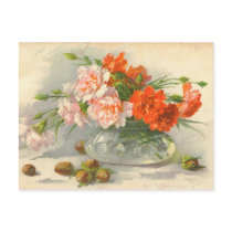 Catherine Klein PostCard Reproduction
