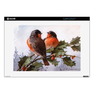 Catherine Klein: Robins on Holly