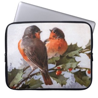 Catherine Klein: Robins on Holly