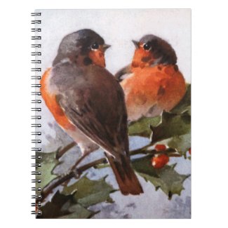 Catherine Klein: Robins on Holly