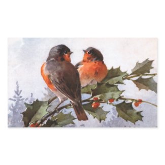 Catherine Klein: Robins on Holly
