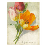 Catherine Klein Vintage Postcard Reproduction