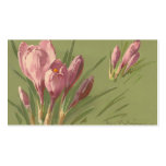 Catherine Klein Vintage Postcard Reproduction business cards