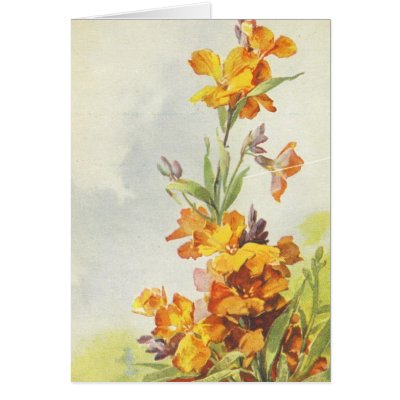 Vintage Reproduction on Catherine Klein Vintage Postcard Reproduction Card From Zazzle Com