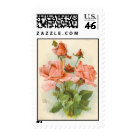 postcard - Catharina Klein autographed lithograph of pink rose from my own Collection of Klein. c. 1895