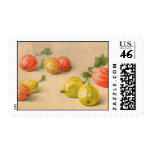 Catherine Klein Vintage Reproduction Postage stamps