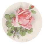 Catherine Klein's Pink Rose - Sticker