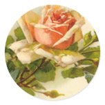 Catherine Klein's Vintage Peach Rose - Sticker