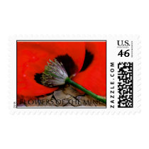 CATHERINE'S POPPY postage