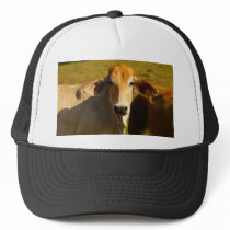 Cathine the cute cow trucker hats