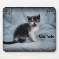 Catitude mousepads