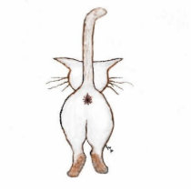 CATITUDE ? U BET YER AZZ ! photo sculptures by NESIKA101 CATITUDE ? U BET YER AZZ ! photo sculptures