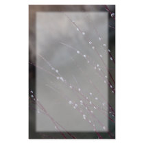 Catkin Spring Stationery