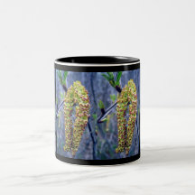 Catkins 2 Mug