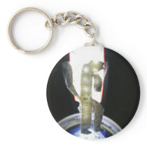 catlike humanoid that came through the transport key chains
