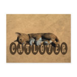 Catlover Post Cards