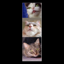Catlovers' Bookmark business cards