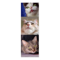 Catlovers' Bookmark business cards by aura2000 Catlovers' Bookmark business cards