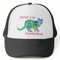 CatMulti-Color-1 Mesh Hat