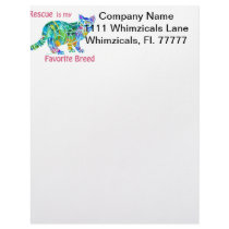 CatMulti-Color-1 Letterhead Template