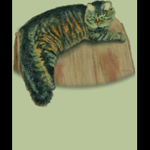 catMural t-shirts