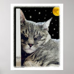 "Catnap" Canvas Print