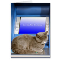Catnap Card
