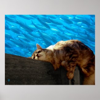 Catnap Fishing print