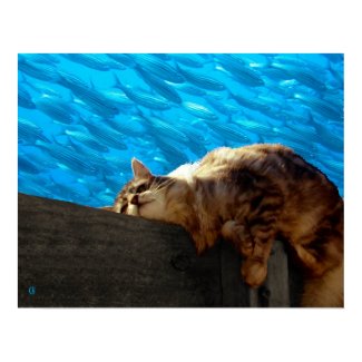 Catnap Fishing print