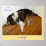 Catnap Haiku Art Print