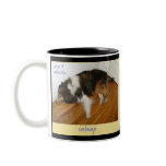 Catnap Mug