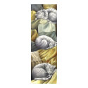 catnap posters