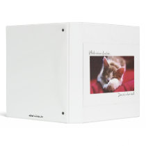 Catnip binders