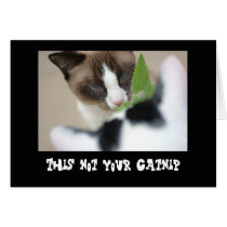 Catnip Cards