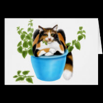 Catnip Chomping Calico Card