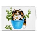 Catnip Chomping Calico Card