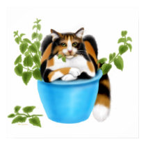 Catnip Chomping Calico Cat Poster posters by twopurringcats Catnip Chomping Calico Cat Poster posters