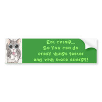 Catnip Crazy bumper stickers